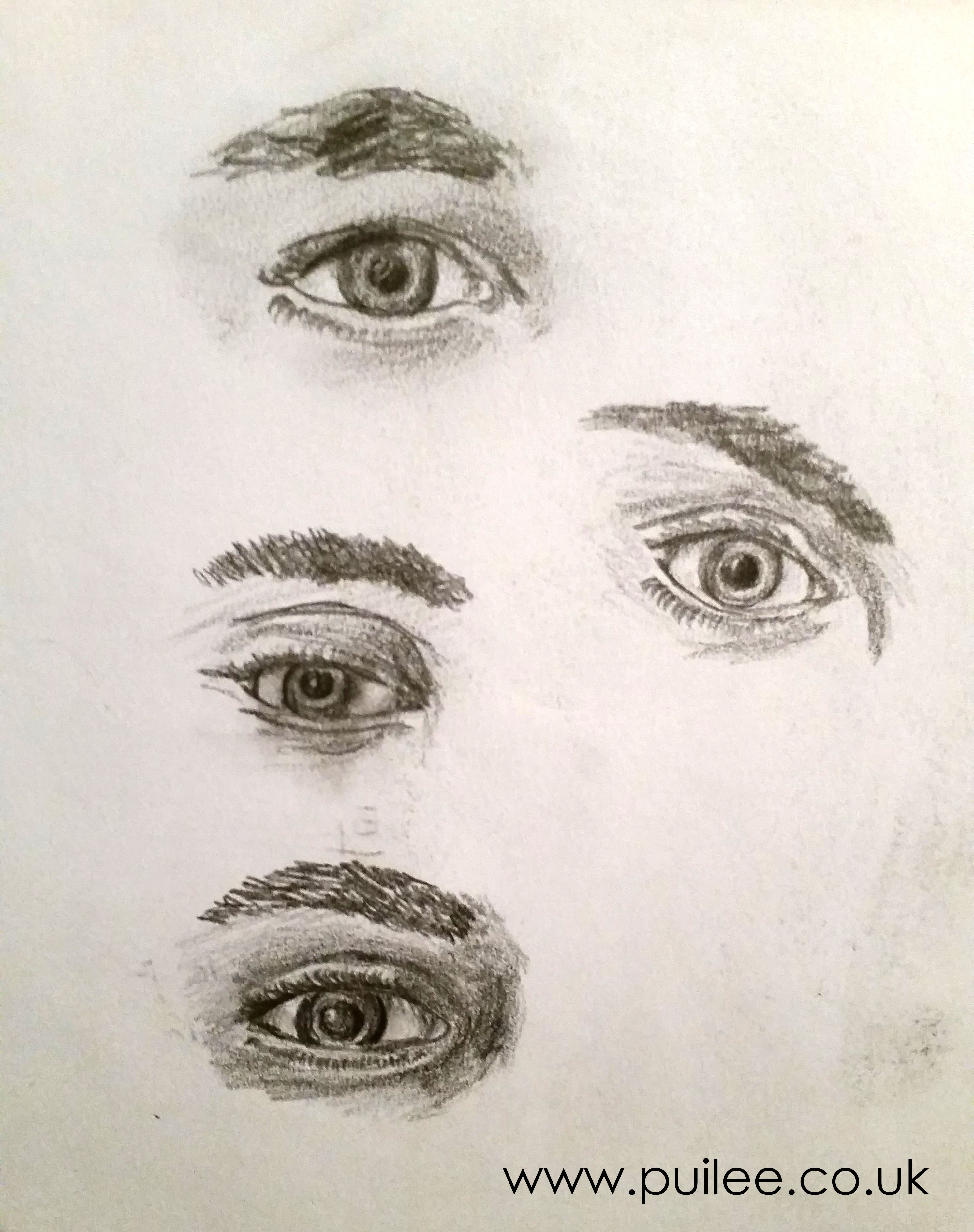 Eye Studies (2014) - pencil on paper -Pui Lee