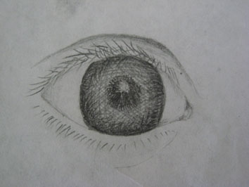 Study of Eye (2005) - pencil on paper - Pui Lee