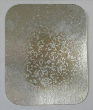 Untitled (take-away lid) ii (2007) - Pui Lee