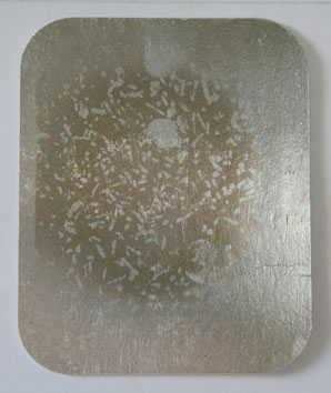 Untitled (take-away lid) iii (2007) - Pui Lee