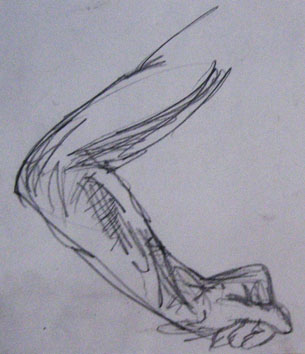 Study of Arm (2005) pencil on paper - Pui Lee